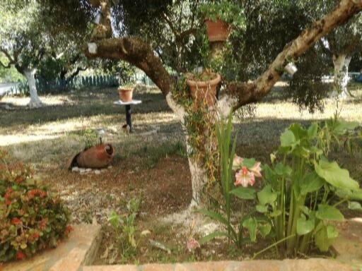 Sunny Holiday Home Kalamata Exterior foto