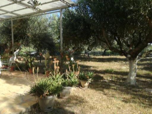 Sunny Holiday Home Kalamata Exterior foto