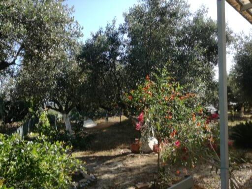 Sunny Holiday Home Kalamata Exterior foto